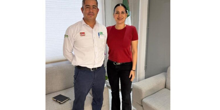Estefanía Mercado gestiona con CFE mejoras eléctricas tras apagones en Playa del Carmen
