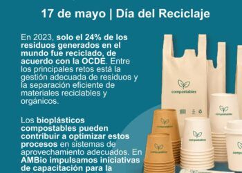 Más allá del reciclaje: cinco decisiones para cerrar mejor el ciclo de los residuos