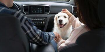 Viajar con mascotas crecerá rumbo al evento de fútbol más importante del mundo, pero 42% teme por su bienestar