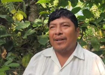 Abandono de la apicultura amenaza una tradición productiva en José María Morelos