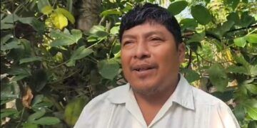Abandono de la apicultura amenaza una tradición productiva en José María Morelos
