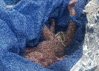 Pepenadores se convierten en héroes y rescatan a bebé abandonado entre la basura en Cancún