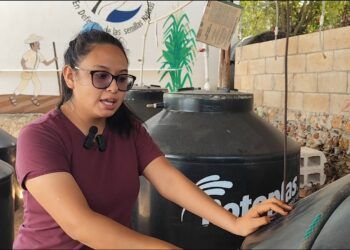 Campesinos de José María Morelos apuestan por bioinsumos para combatir plagas y sequía