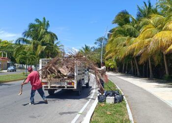 Brigada Bahía mantiene limpio y ordenado el Boulevard de Chetumal