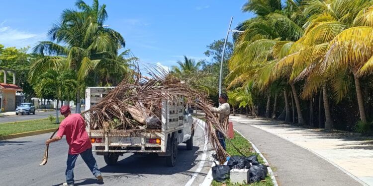Brigada Bahía mantiene limpio y ordenado el Boulevard de Chetumal