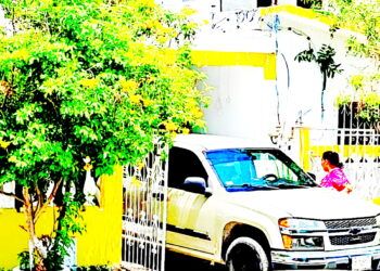 “El Señor de los pescados” en Chetumal