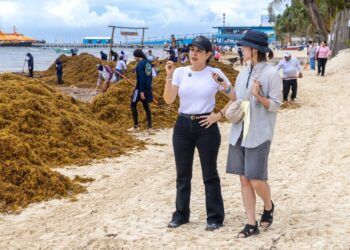 Estefanía Mercado lanza “Reto Sargazo 2026” ante recale histórico en Playa del Carmen