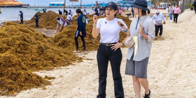 Estefanía Mercado lanza “Reto Sargazo 2026” ante recale histórico en Playa del Carmen