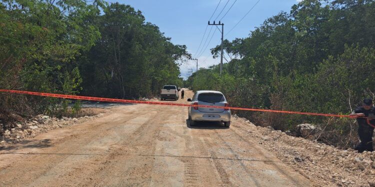 Hallan cuerpo en avanzado estado de descomposición en la Región 15 de Tulum