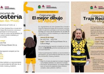 Celebrarán en Tulum el Día Mundial de las Abejas con concursos, talleres y actividades culturales