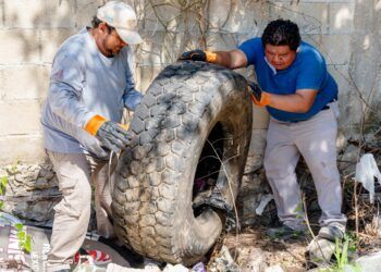 Arranca Diego Castañón campaña de eliminación de criaderos en Tulum