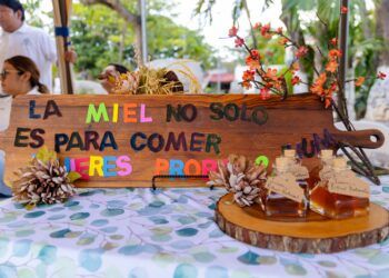 Arranca en Tulum el Festival de la Abeja para promover su conservación y el consumo de miel