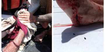 Adulto mayor resulta herido tras ataque de cocodrilo en Casa Cenote, Tulum