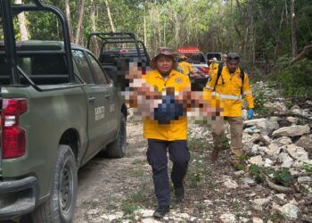 Adulta mayor es localizada con vida tras intensa búsqueda en zona selvática de Playa del Carmen
