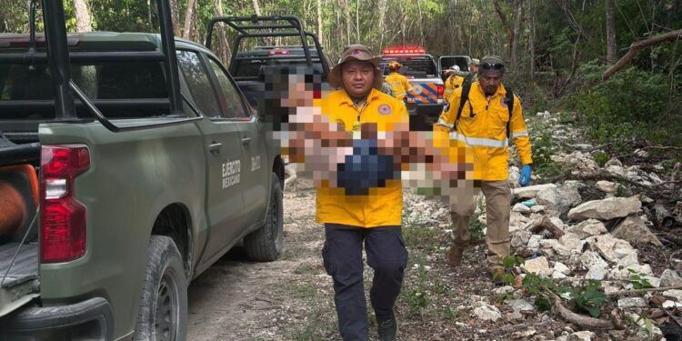 Adulta mayor es localizada con vida tras intensa búsqueda en zona selvática de Playa del Carmen