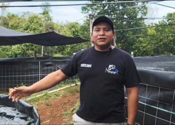 Tilapia producida en José María Morelos impulsa nueva alternativa económica en la zona maya