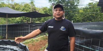 Tilapia producida en José María Morelos impulsa nueva alternativa económica en la zona maya