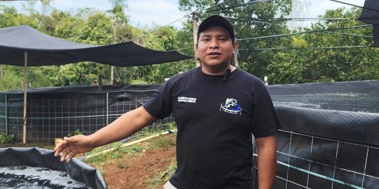 Tilapia producida en José María Morelos impulsa nueva alternativa económica en la zona maya