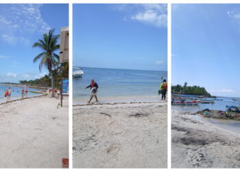 Akumal amanece sin sargazo y ofrece un respiro en plena temporada de arribazón