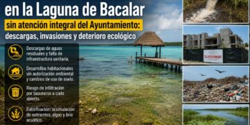 Persisten anomalías ambientales en la Laguna de Bacalar; señalan falta de atención integral