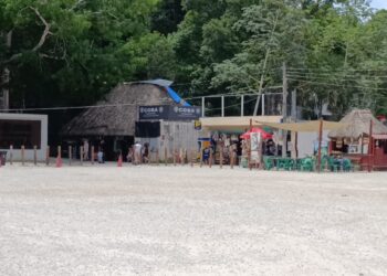 Cobá enfrenta desplome turístico; guías reportan actividad mínima y escasos ingresos