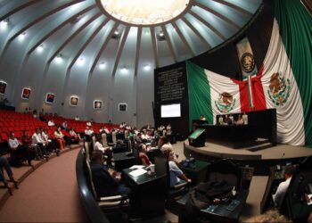 Predominan licenciaturas y pocos posgrados en la XVIII Legislatura de Quintana Roo