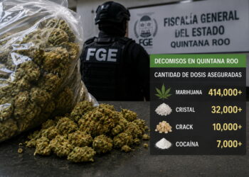 Marihuana domina decomisos y consumo de drogas en Quintana Roo