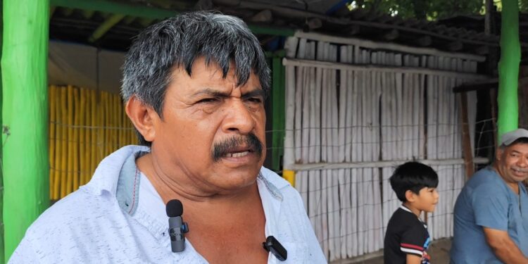 Dos Aguadas fortalece vigilancia comunitaria y frena extracción ilegal de madera