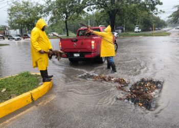 Más de 100 elementos mantienen activo el Operativo Tormenta en Chetumal