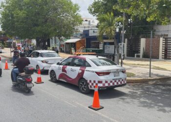 Transportistas respaldan operativos contra servicio irregular en Tulum
