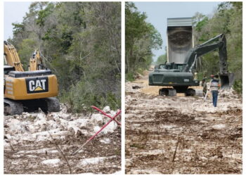 Ambientalistas alertan riesgo para acuíferos y selva por falta de ordenamiento ecológico en Tulum