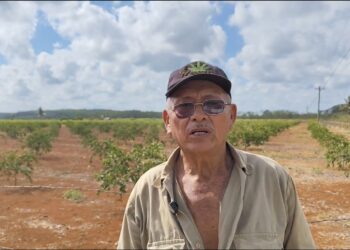Productores pagan más de 88 mil pesos y siguen sin energía para sistema de riego