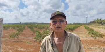 Productores pagan más de 88 mil pesos y siguen sin energía para sistema de riego