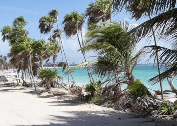 Retoman rehabilitación del camino a Punta Allen