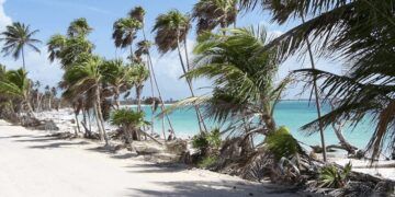 Retoman rehabilitación del camino a Punta Allen