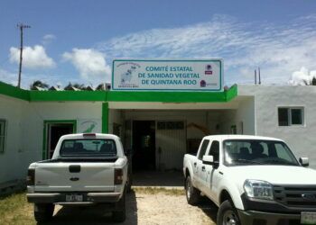 Manejo discrecional y retrasos administrativos mantienen hasta cinco meses sin salario a trabajadores