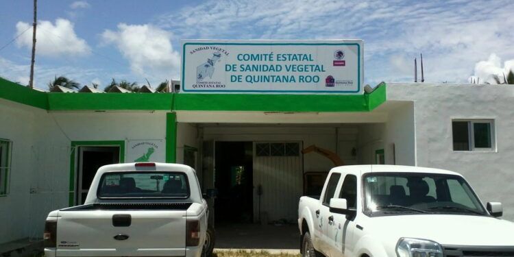 Manejo discrecional y retrasos administrativos mantienen hasta cinco meses sin salario a trabajadores