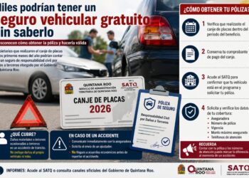 Miles podrían tener un seguro vehicular gratuito sin saberlo; desconocen cómo obtener la póliza y hacerla válida