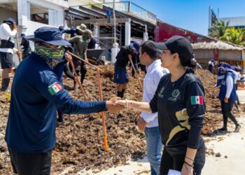 Estefanía Mercado supervisa limpieza de playas y explica por qué Playa del Carmen recibe más sargazo