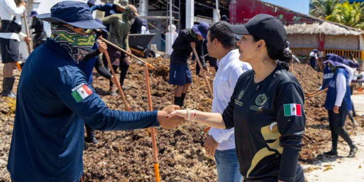 Estefanía Mercado supervisa limpieza de playas y explica por qué Playa del Carmen recibe más sargazo