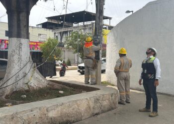 Descubren conexiones clandestinas de luz frente al Palacio Municipal de Tulum