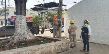 Descubren conexiones clandestinas de luz frente al Palacio Municipal de Tulum