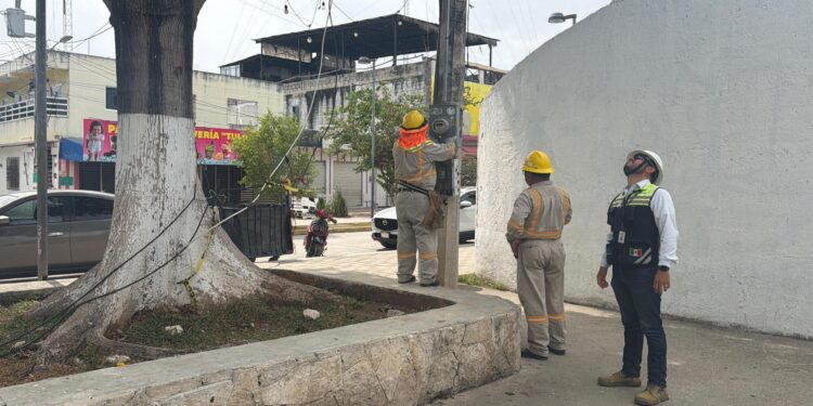 Descubren conexiones clandestinas de luz frente al Palacio Municipal de Tulum