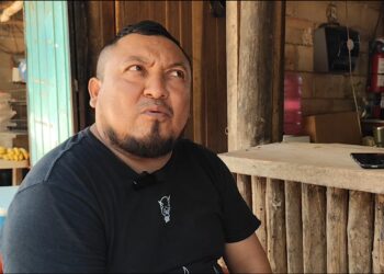 Bajo consumo frena el desarrollo de granjas avícolas en José María Morelos