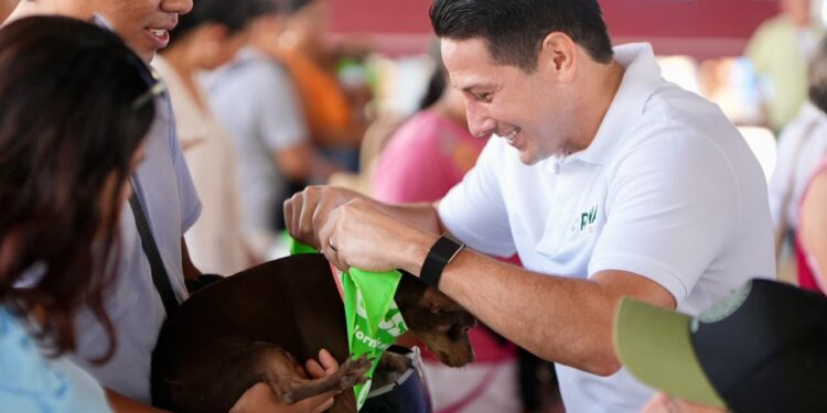 Renán Sánchez Tajonar encabeza jornada gratuita de bienestar animal en Cozumel