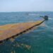 Anuncian inversión histórica de más de 2 mil mdp para combatir el sargazo en el Caribe Mexicano