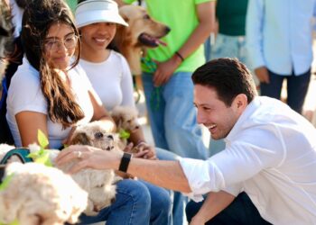 Ofrecerán vacunación, desparasitación y microchip gratuito para mascotas en Cozumel
