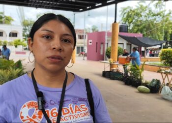 Centro Libre para Mujeres impulsa denuncias por violencia digital en José María Morelos