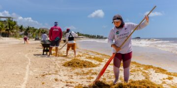 Tulum supera las 2 mil 800 toneladas de sargazo recolectadas durante 2026
