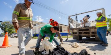 Refuerza Gobierno Municipal jornada permanente de bacheo para mejorar la movilidad en Tulum